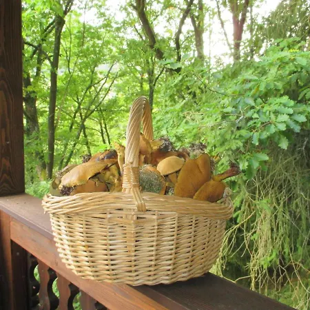 Weise Holiday home Unterweissbach