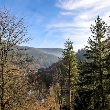 Weise Ferienhaus Unterweissbach